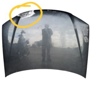 Capô Palio 2010 Original Usado Com Detalhe