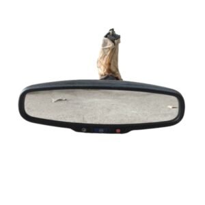 Retrovisor Interno Onix 2018
